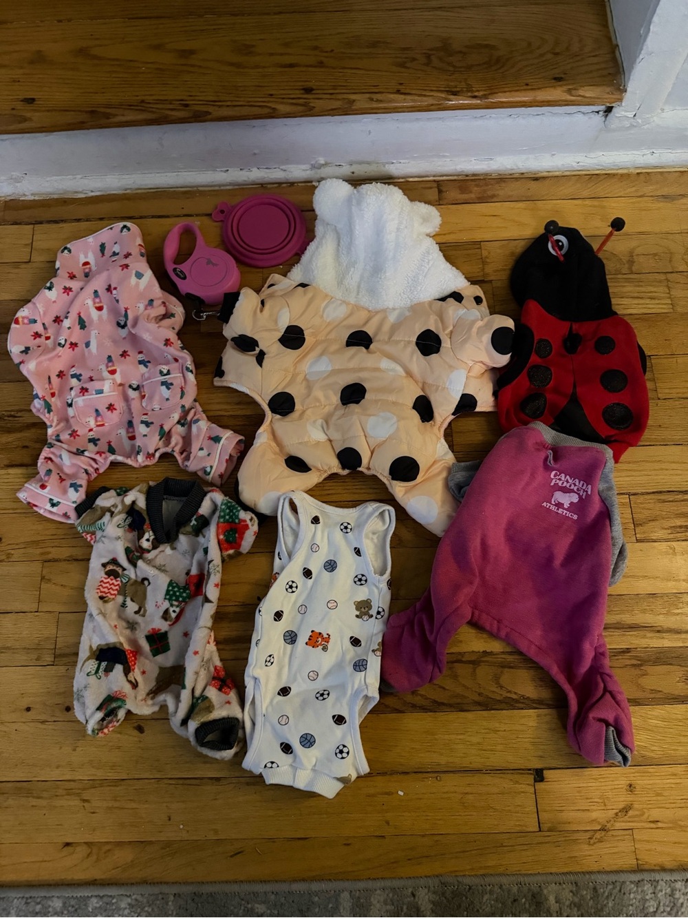 Small dog bundle